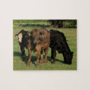 Suche nach braune kuh puzzle Tiere