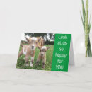 Suche nach babyziege karten Lustig