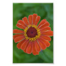 Suche nach blumenphotographie Für sie