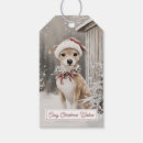 Suche nach hund geschenkanhänger Winter