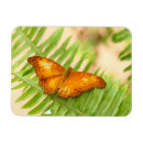 Suche nach orange schmetterling magnete Schmetterlinge