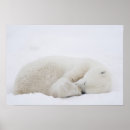 Suche nach climate change poster Snow