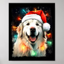 Suche nach pyrenäen poster Weihnachtsangebot heute