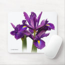 Suche nach iris blume mousepads Violette blumen