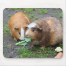 Suche nach niedliches haustier mousepads Bild