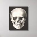 Suche nach anatomie leinwandbilder Schädel