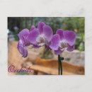 Suche nach orchideen postkarten Flora
