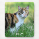 Suche nach braune katze mousepads Kätzchen