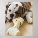 Suche nach jersey poster Usa