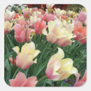 Suche nach rosa tulpen aufkleber Quelle