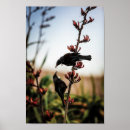 Suche nach tui poster Natur