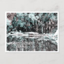 Suche nach fort myers postkarten Fortsammler