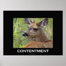 Suche nach hirsch poster Tierwelt
