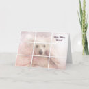 Suche nach chinesische karten Hund