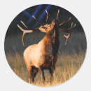 Suche nach elch aufkleber Im freien