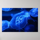 Suche nach bunte quallen poster Blau
