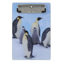 Suche nach pinguin klemmbrett Vogel