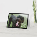 Suche nach lustiges jugendlich karten Mädchen