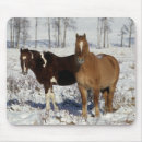 Suche nach malen sie pferde mousepads Stehend