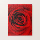 Suche nach rote rosen puzzle Natur