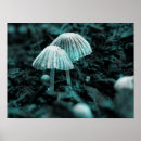 Suche nach drogen poster Pilze