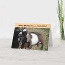 Suche nach ziege karten Alt