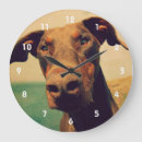 Suche nach ohr wanduhren Hund