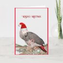 Suche nach der kongo karten Vogelvogel