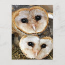 Suche nach scheunen postkarten Vögel