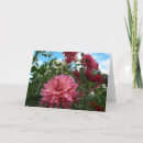 Suche nach roter himmel karten Wolken