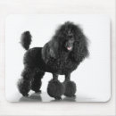 Suche nach schwarzer pudel mousepads Schwarzes