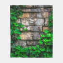 Suche nach efeu decken Wand