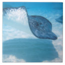 Suche nach karibisches meer fliesen Ozean