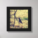 Suche nach gepard leinwandbilder Safari