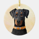 Suche nach dobermann pinscher ornamente Hund