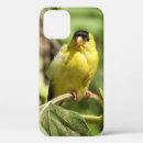 Suche nach fink iphone hüllen Vogelvogel