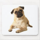 Suche nach mops hund mousepads Möpsen