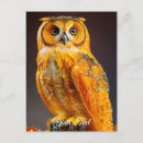 Suche nach owls postkarten Wald