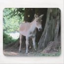 Suche nach esel mousepads Maultiere