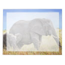 Suche nach afrikanischer elefant notizblock Elefantenkalb