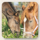 Suche nach cute untersetzer Calf