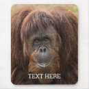 Suche nach orang utan mousepads Menschenaffe