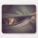 Suche nach wachsamkeit mousepads Katze
