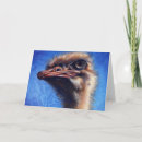 Suche nach strauß karten Emu