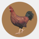 Suche nach niedliches huhn aufkleber Vogel