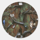 Suche nach waschbär aufkleber Baum