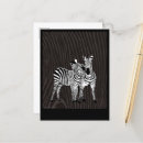 Suche nach schwarz weiß tiere postkarten Wildtiere