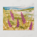 Suche nach lupinen postkarten Violette blumen