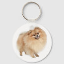 Suche nach pomeranian schlüsselanhänger Puppy