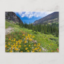 Suche nach montana landschaft postkarten Blume
